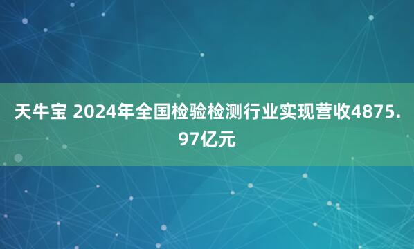 天牛宝 2024年全国检验检测行业实现营收4875.97亿元