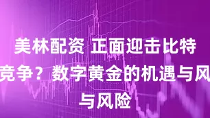 美林配资 正面迎击比特币竞争？数字黄金的机遇与风险